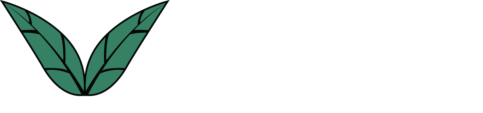 https://ananayas.com/wp-content/uploads/2024/07/ana-3.png